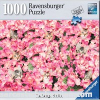 Ravensburger Kitten Challenge 1000 Piece Puzzle B01N7KMU9C